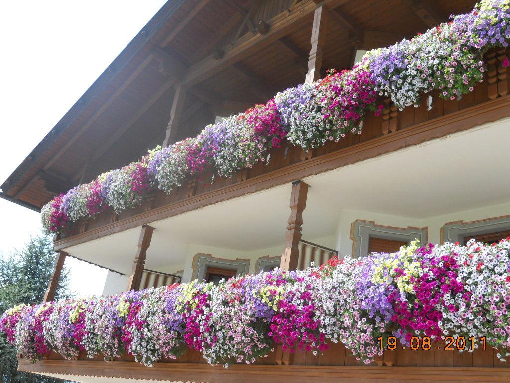 Hotel Rosenheim Rodengo Ngoại thất bức ảnh
